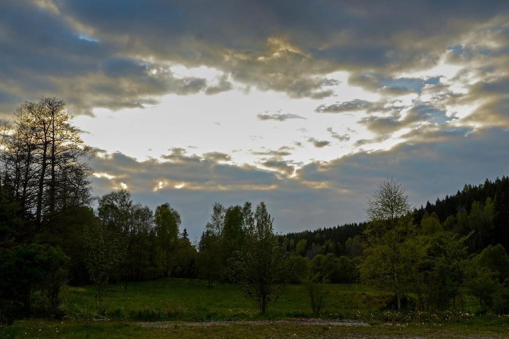 Готель Ostalgie Ferienheim Sorgenfrei Номер фото