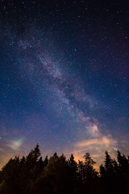 Готель Ostalgie Ferienheim Sorgenfrei Номер фото